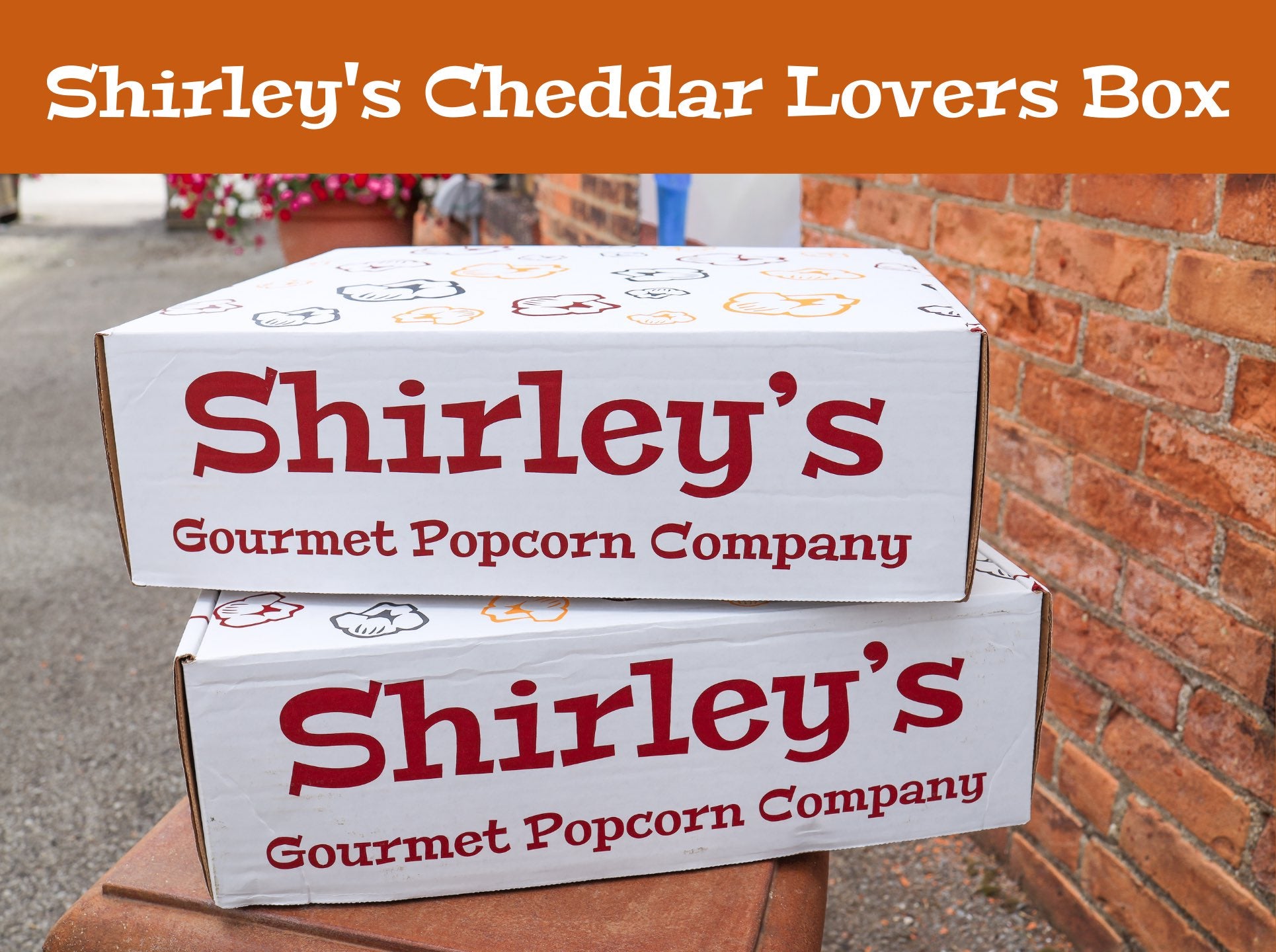Shirley's Cheddar Lover's Box! (FREE SHIPPING!)